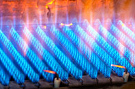 Melbury Osmond gas fired boilers